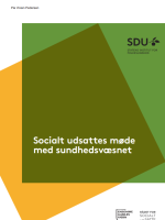 Billede af forsiden på rapporten: Grøn og gul baggrund med hvid tekst